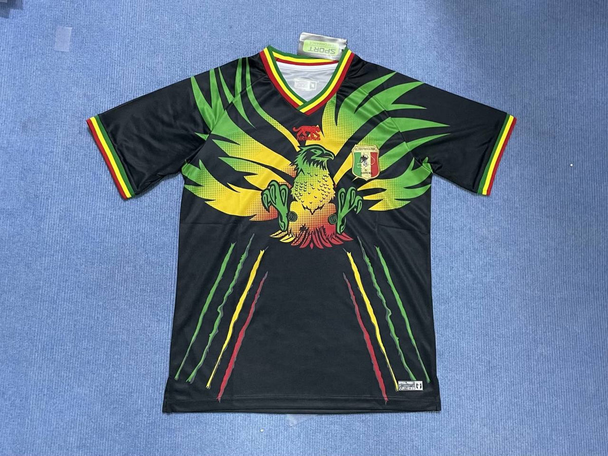 Maillot Mali 22/23 version fan — vue face