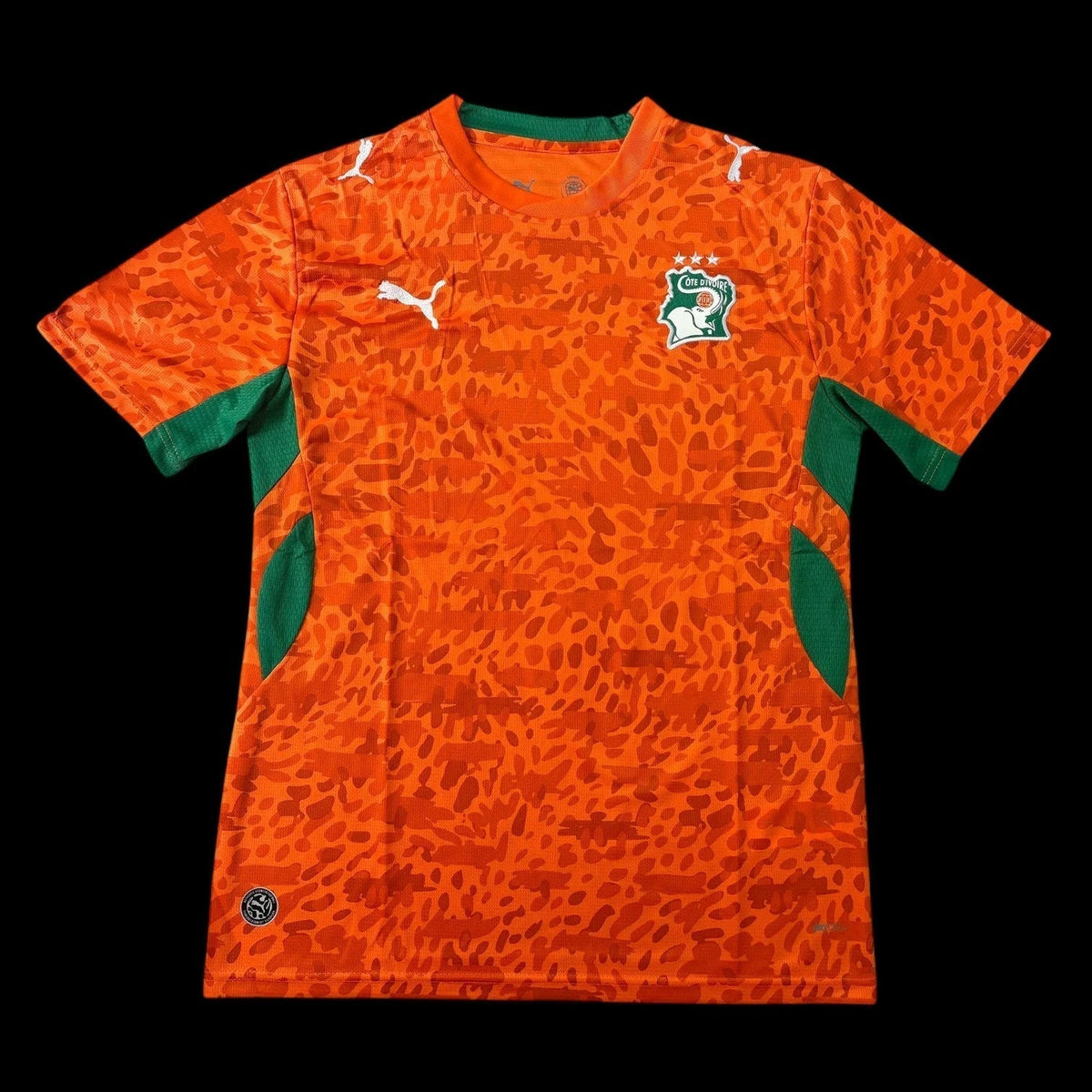 Maillot Côte d'Ivoire 26/27 version fan — vue face