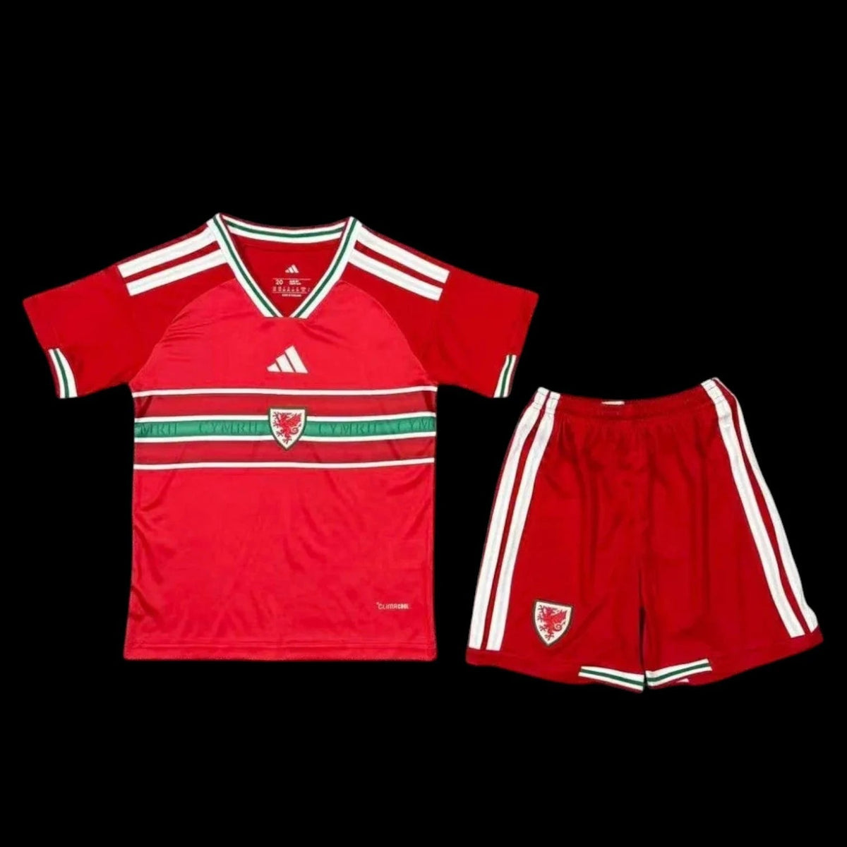 Maillot enfant Pays de Galles 26/27 version fan — vue face