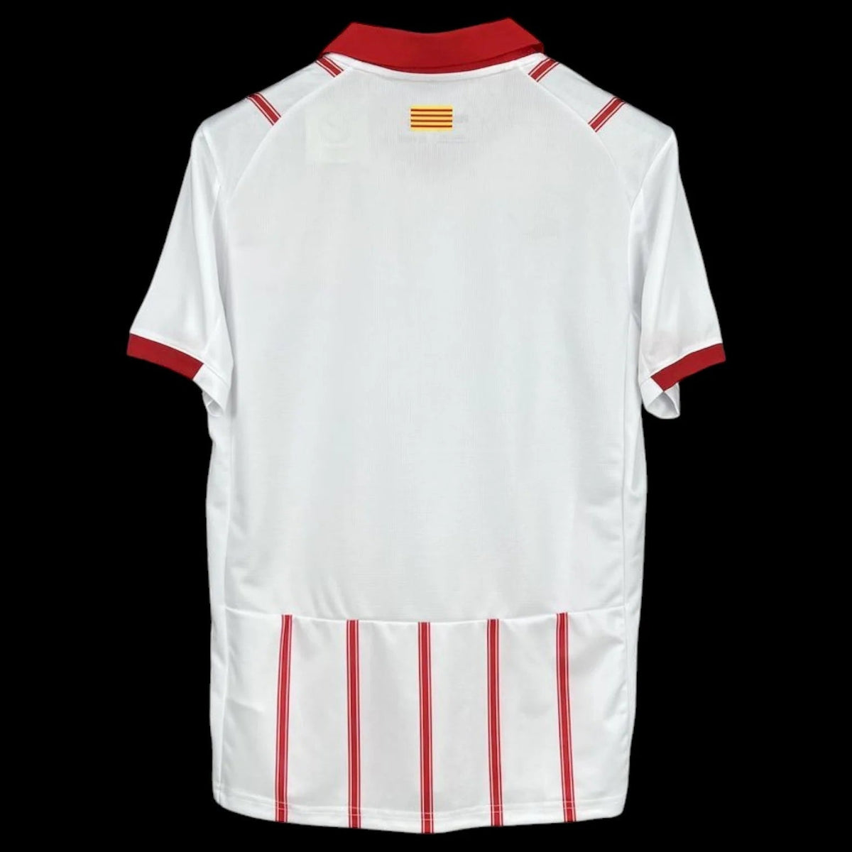 Maillot Girona 25/26 version fan — vue dos
