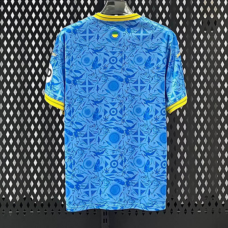 Maillot Wolves 25/26 version fan — vue dos