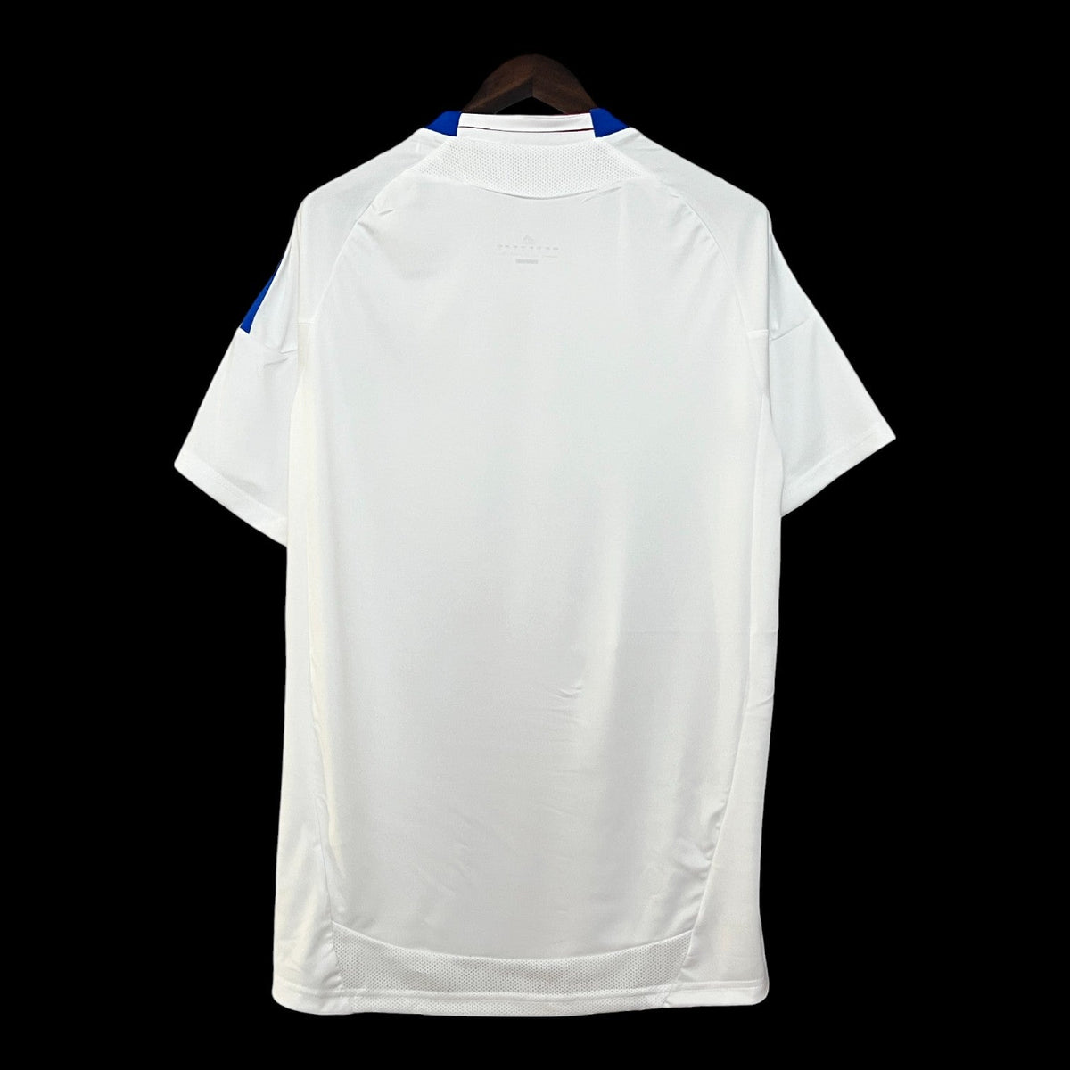 Maillot Olympique Lyonnais 10/11 version fan — vue dos