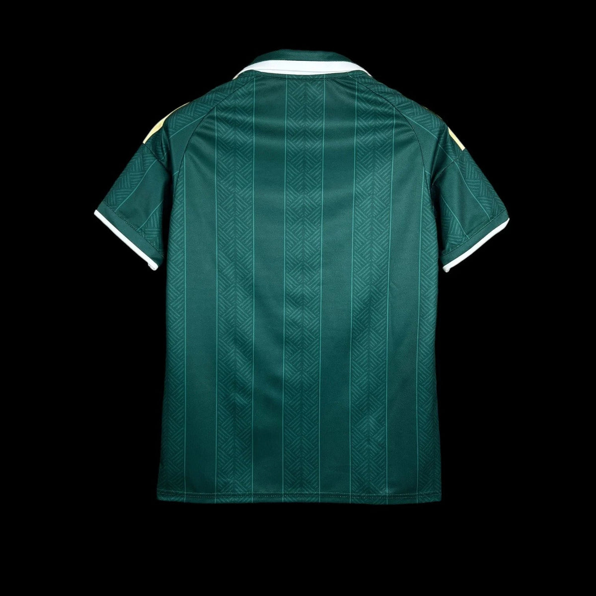 Maillot Afrique du sud 26/27 version fan — vue dos
