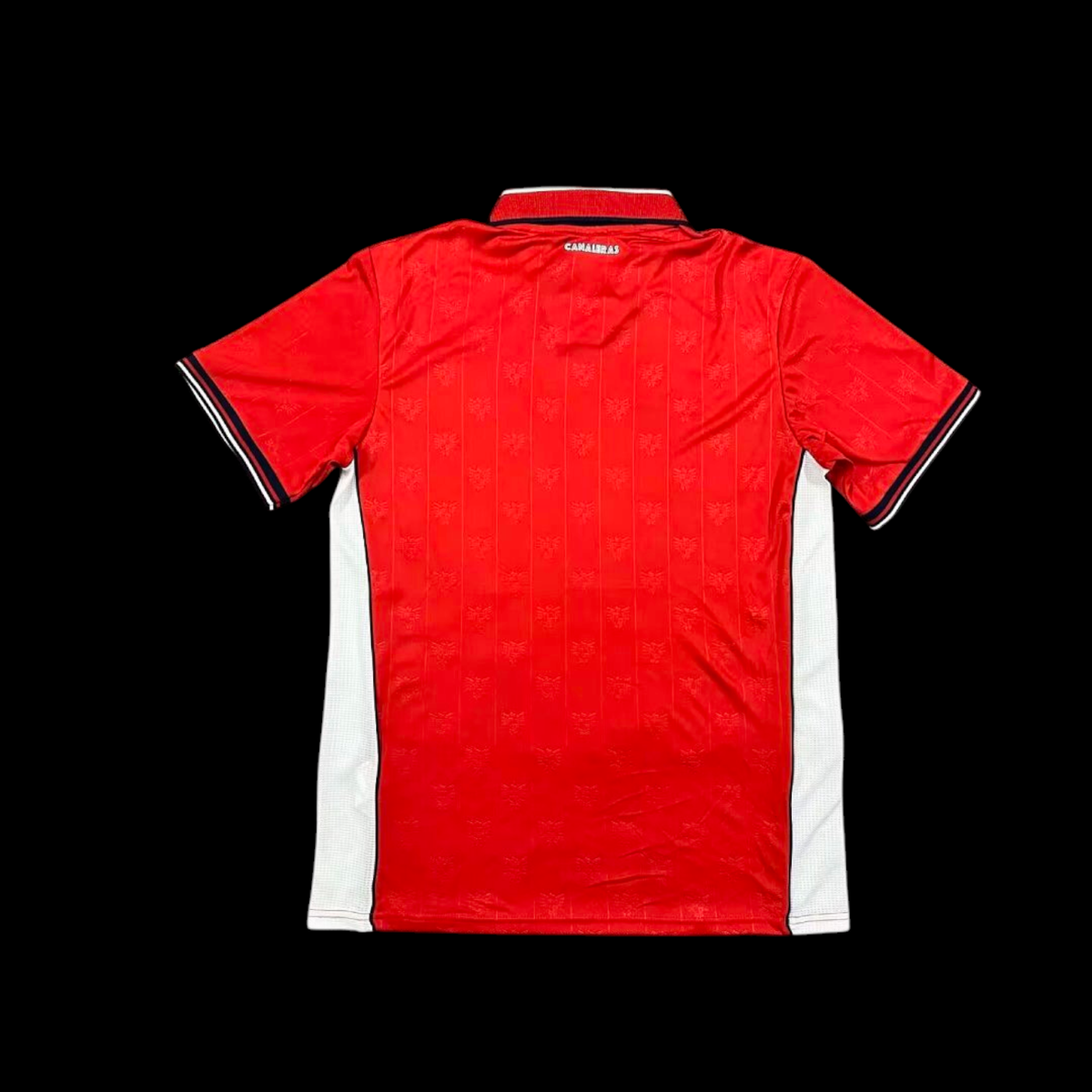 Maillot Panama 26/27 version fan — vue dos