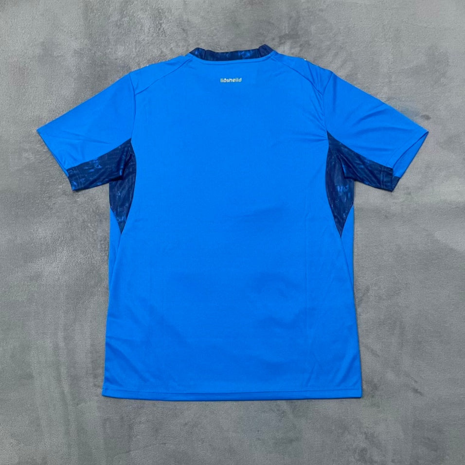 Maillot Islande 25/26 version fan — vue detail