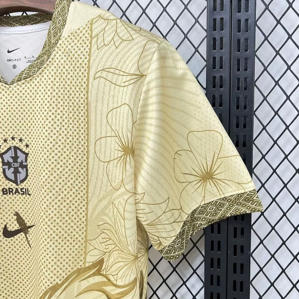 Brésil Concept Désert 2026