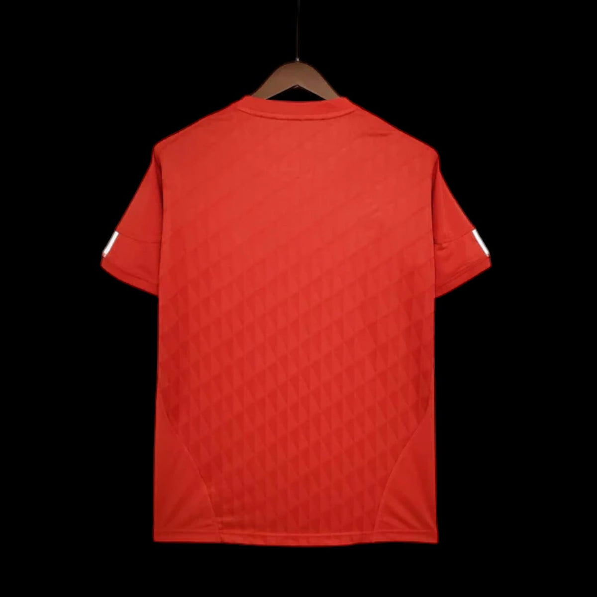 Maillot Liverpool 10/11 version fan — vue dos