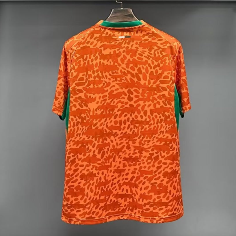 Maillot Côte d'Ivoire 25/26 version fan — vue detail
