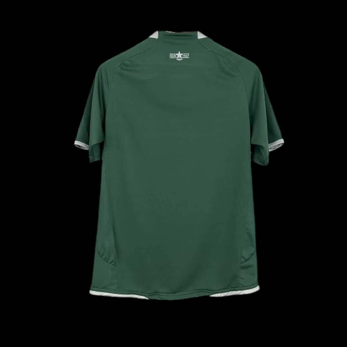 Maillot Celtic Glasgow 06/07 version fan — vue dos