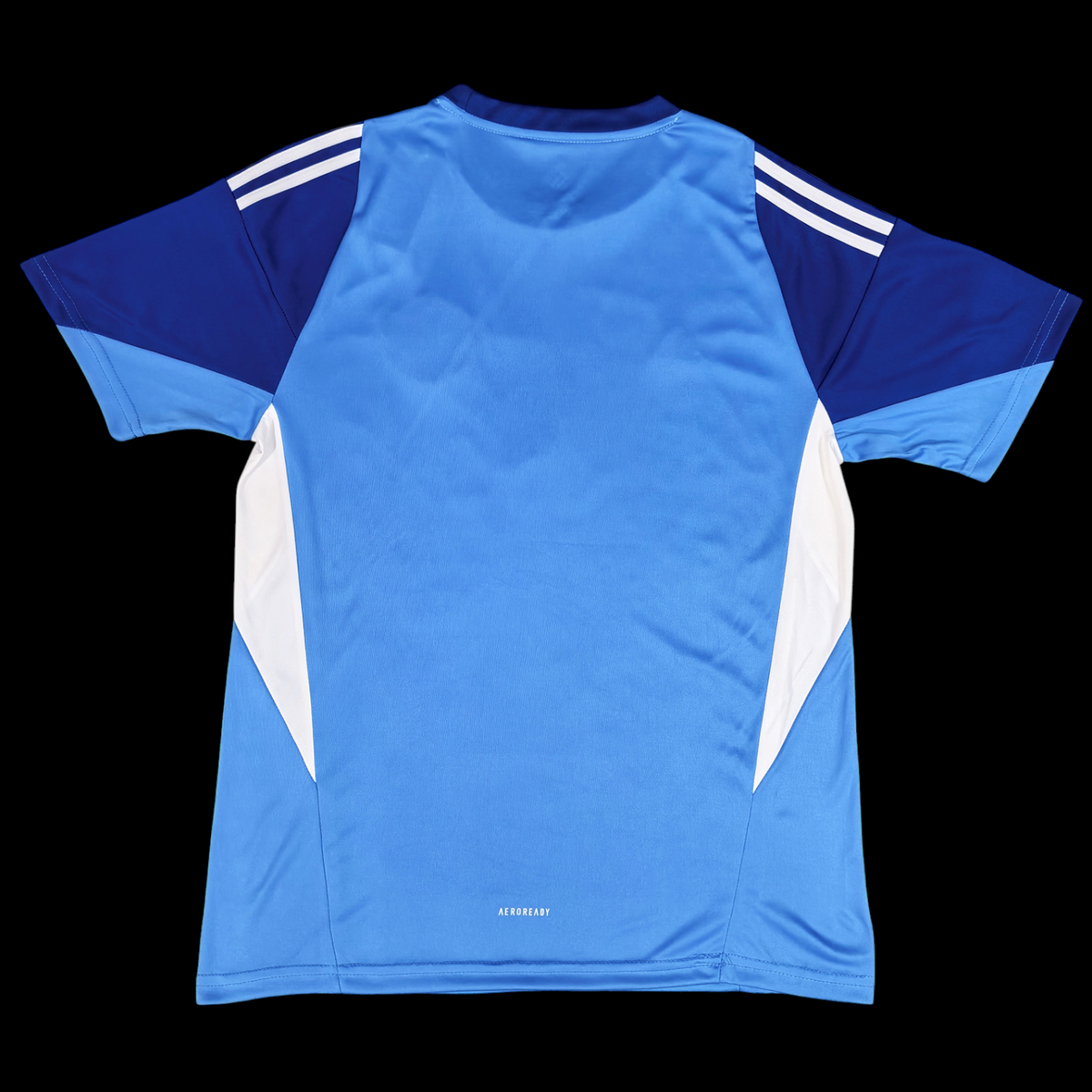 Maillot gardien Manchester United 25/26 version fan — vue dos