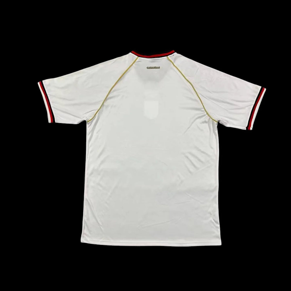 Maillot Panama 26/27 version fan — vue dos
