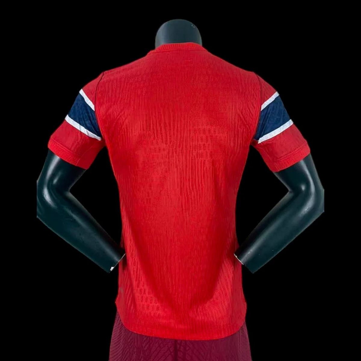 Maillot Norvège 26/27 version joueur — vue dos