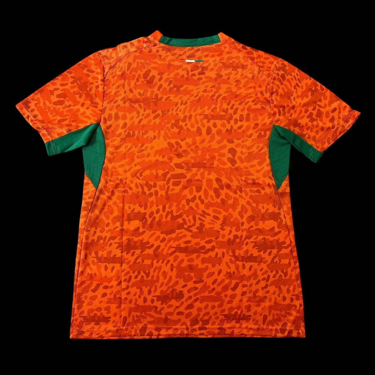 Maillot Côte d'Ivoire 26/27 version fan — vue dos