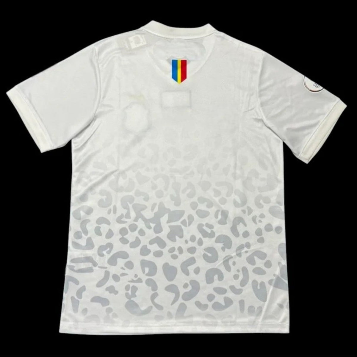Maillot DR Congo 26/27 version fan — vue dos