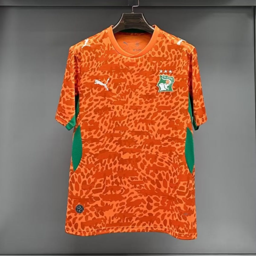 Maillot Côte d'Ivoire 25/26 version fan — vue detail