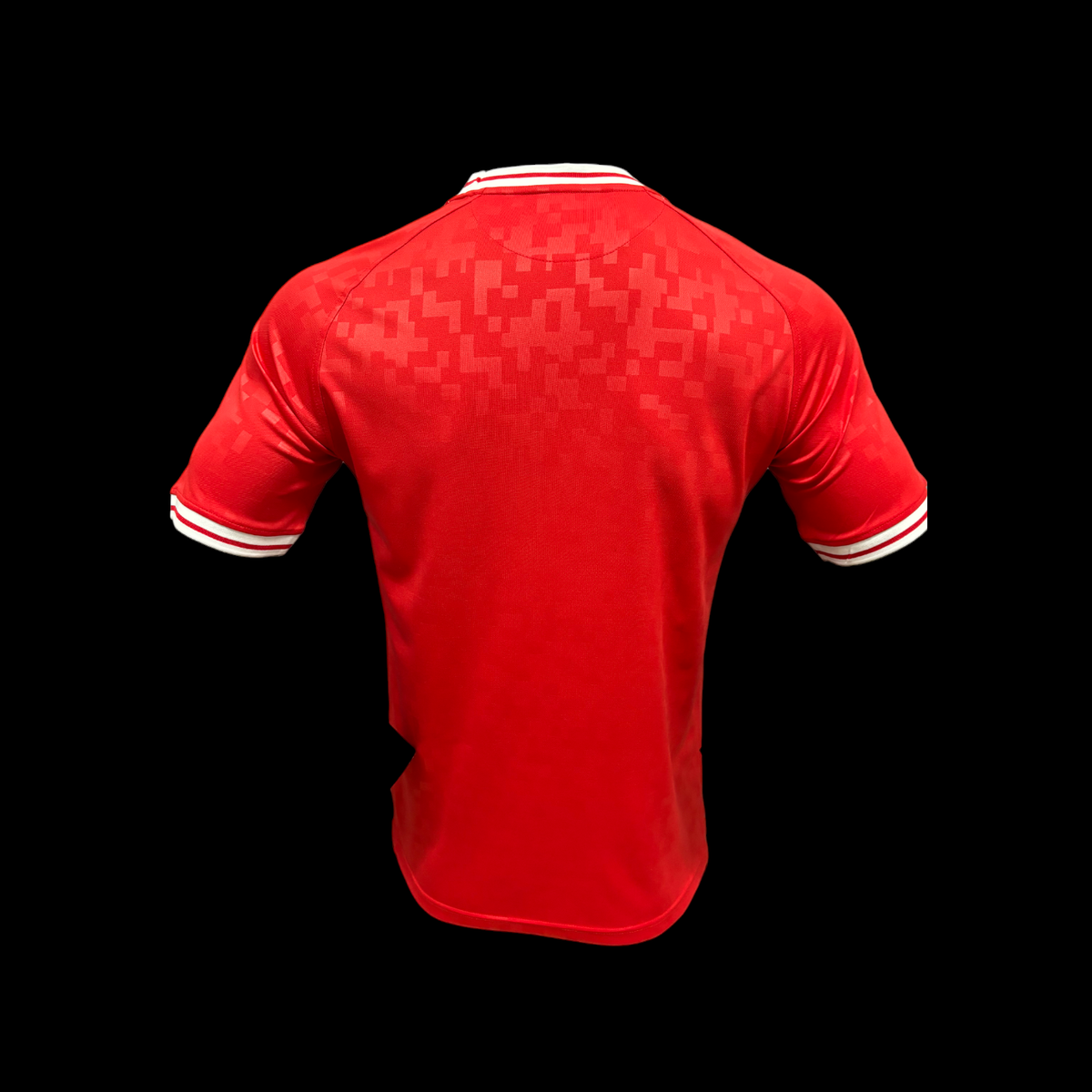 Maillot Danemark 24/25 version joueur — vue dos