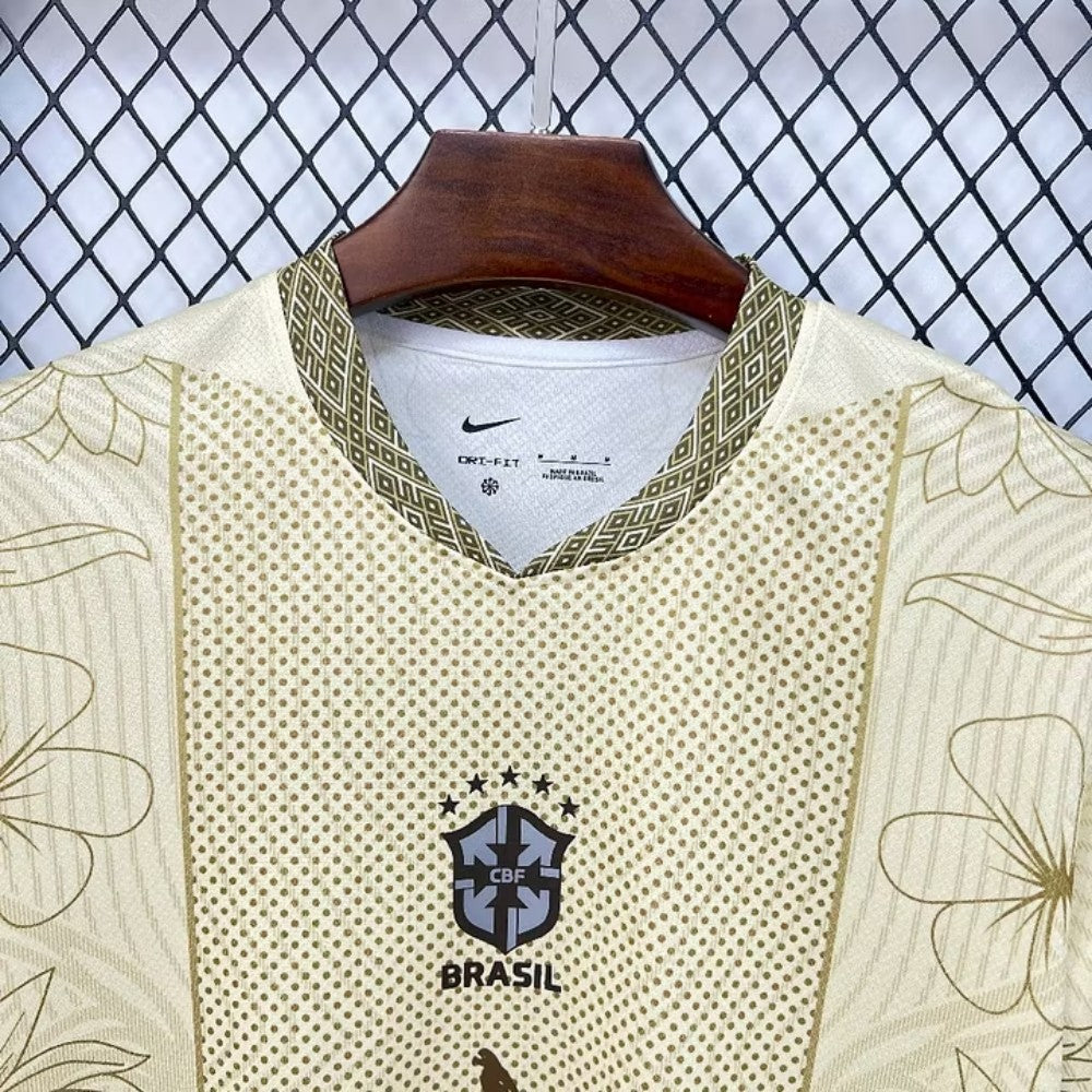 Brésil Concept Désert 2026