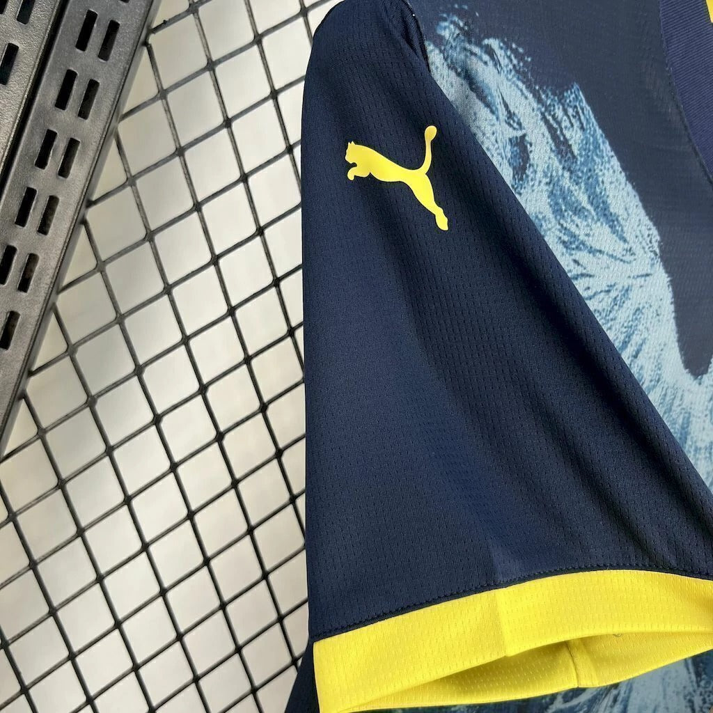 Fenerbahce Concept Aigle 25/26