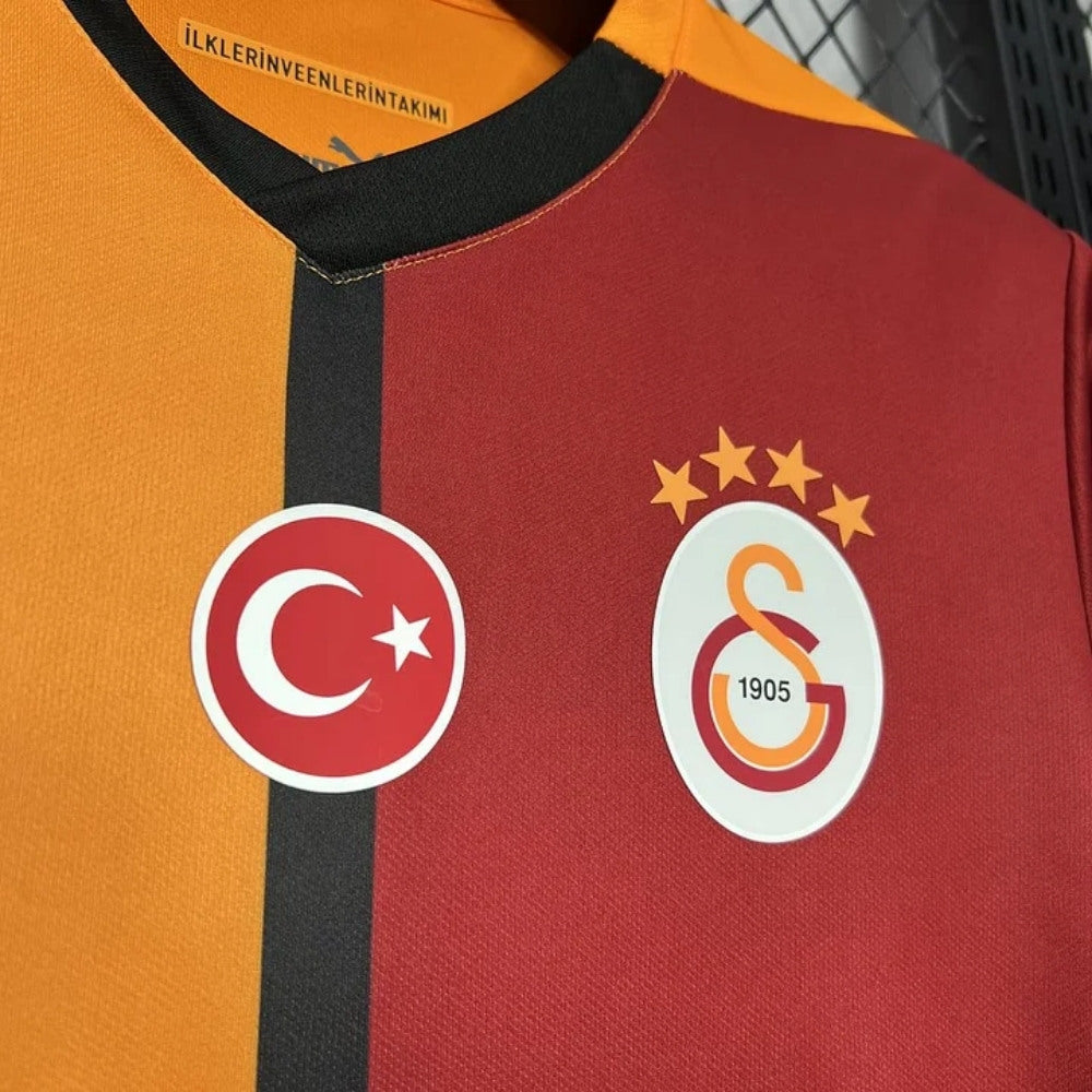 Galatasaray Domicile 24/25