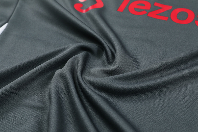 Survet Manchester United Gris 24/25