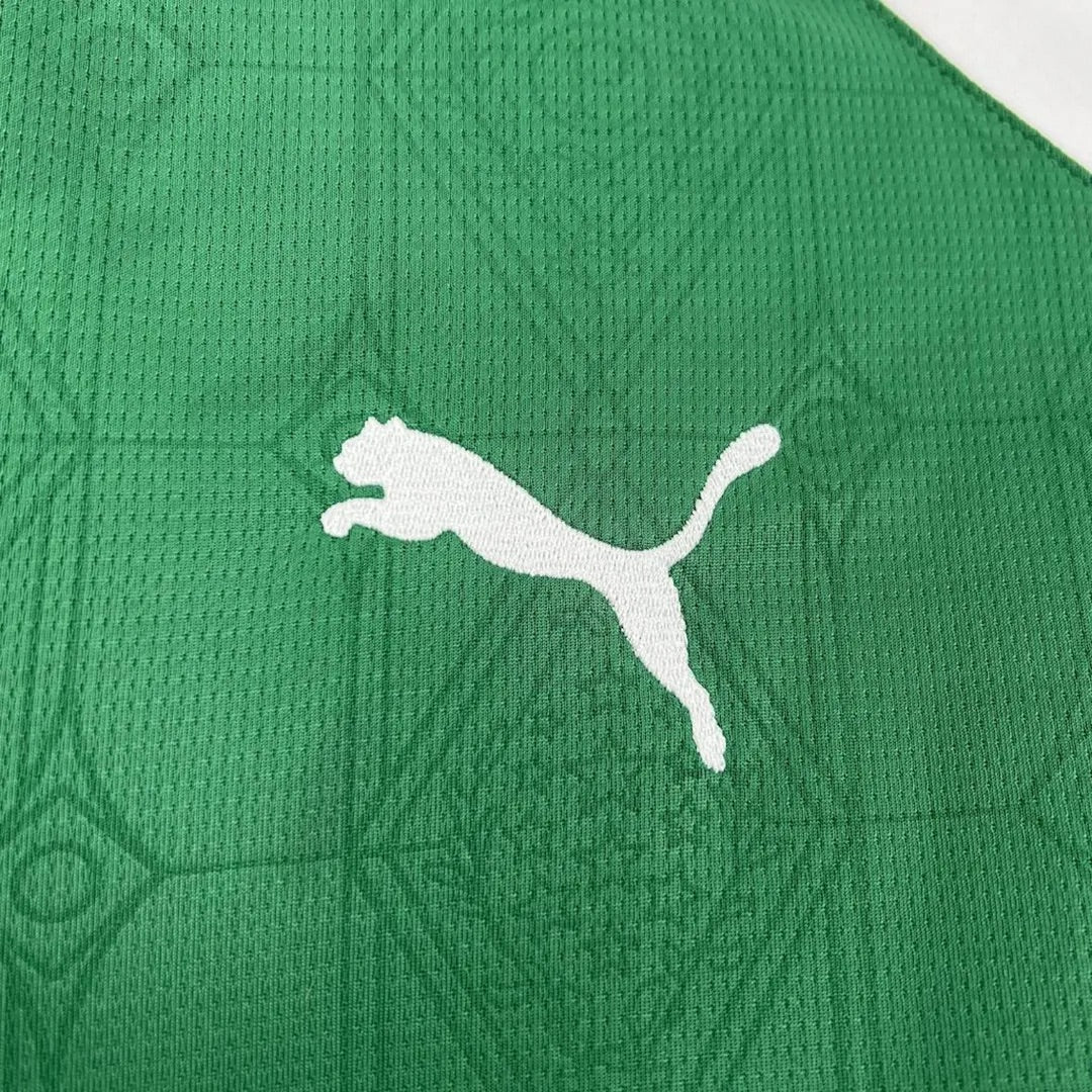Palmeiras Domicile 25/26
