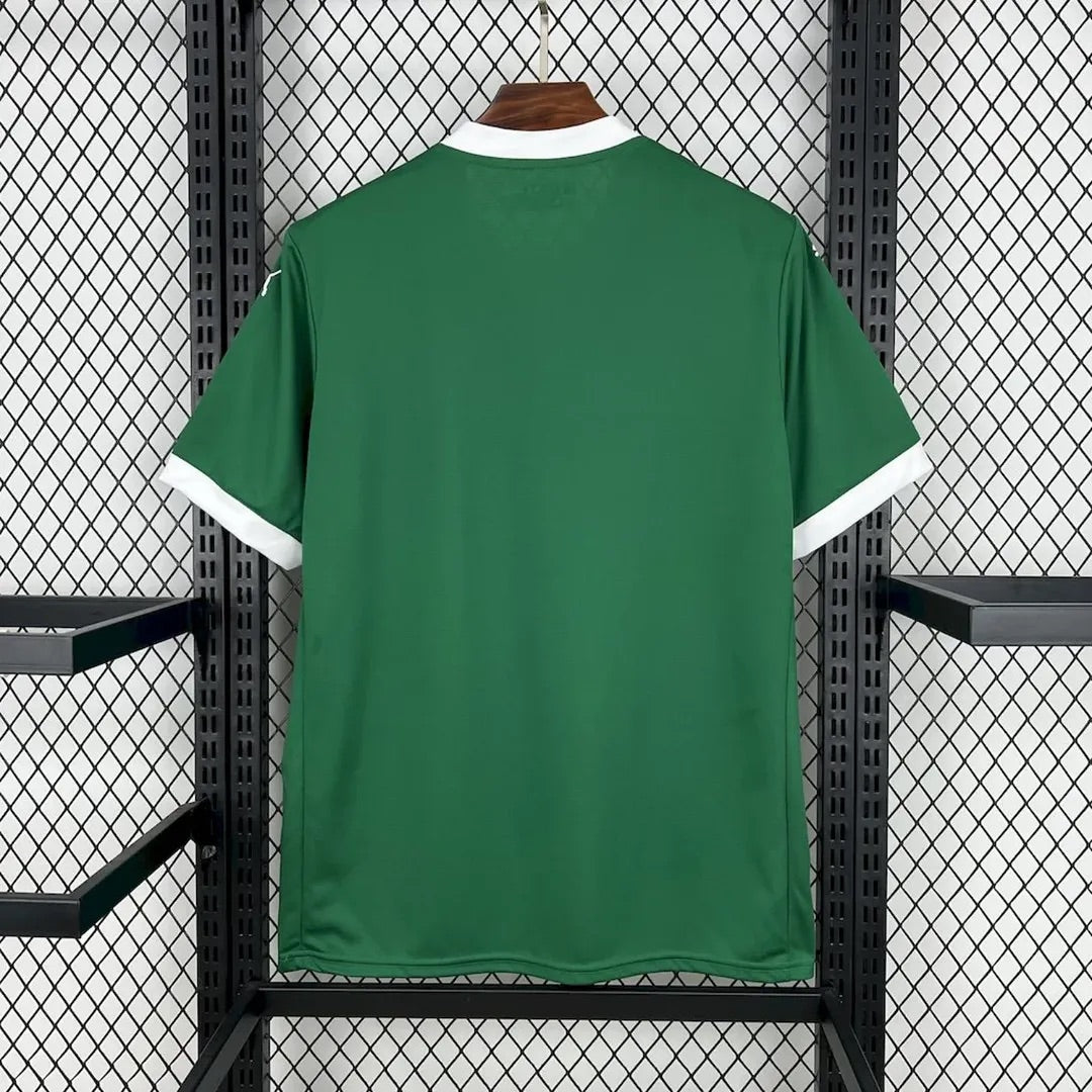 Palmeiras Domicile 25/26