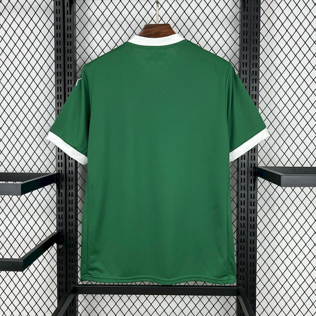 Palmeiras Domicile 25/26