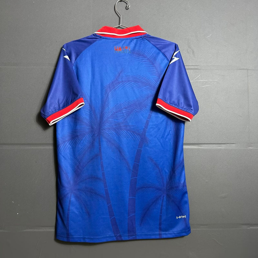 Maillot Haiti 2026 version fan — vue dos