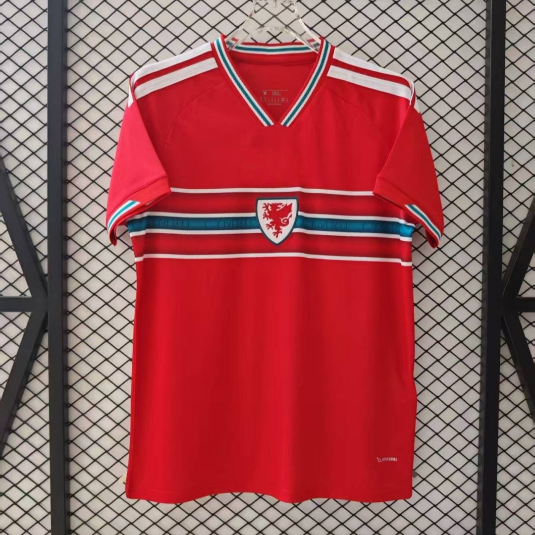 Maillot Pays de Galles 25/26 version fan — vue face