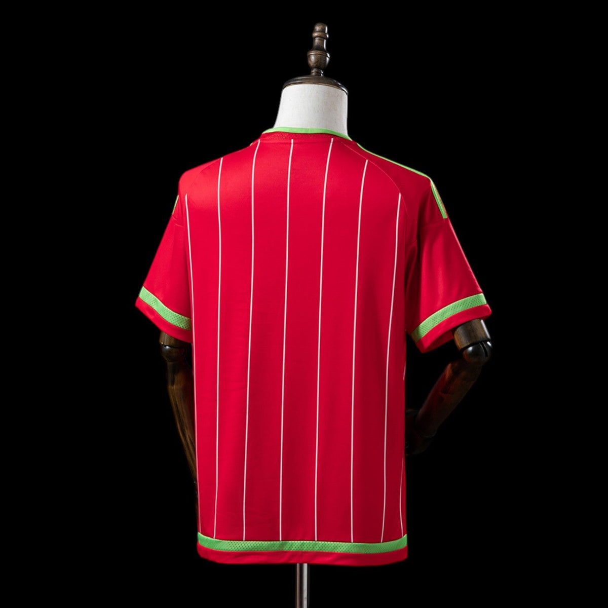 Maillot Pays de Galles 15/16 version fan — vue dos