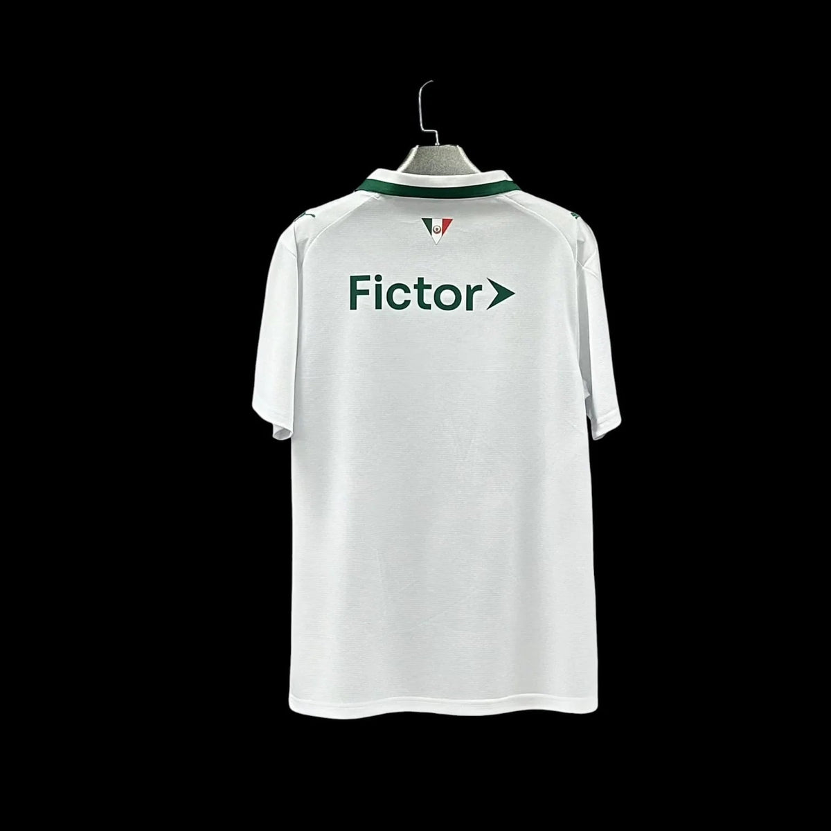 Maillot Palmeiras 26/27 version fan — vue dos