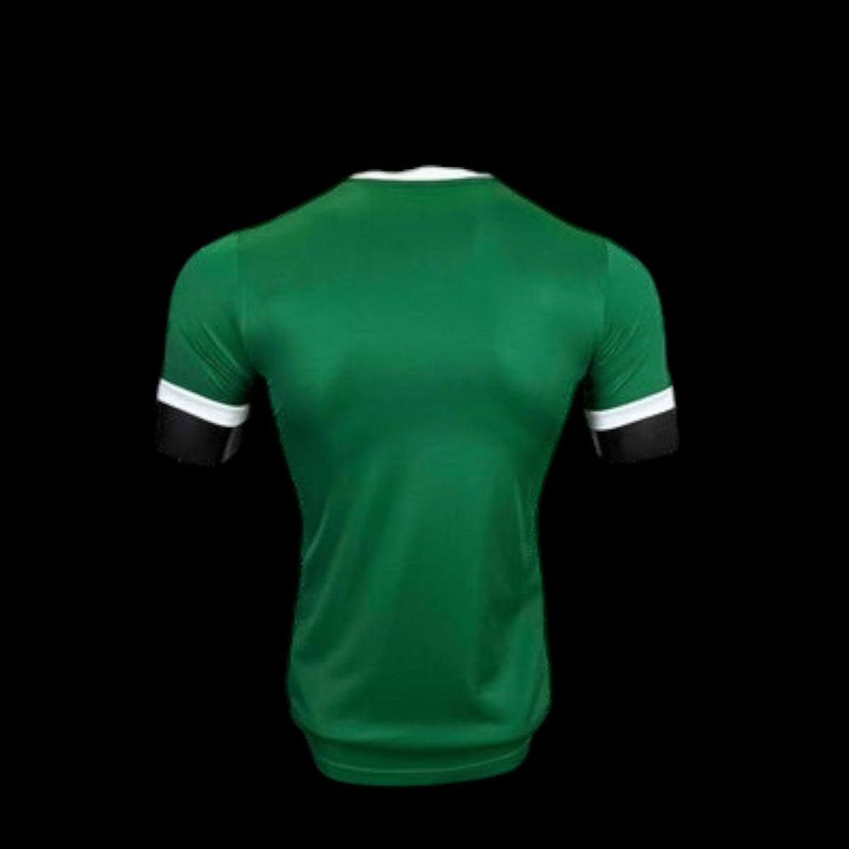 Maillot Palmeiras 25/26 version joueur — vue dos