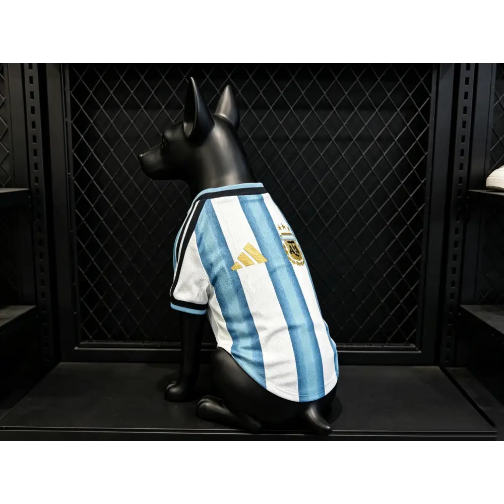 Argentine Coupe Du Monde 2026 Pour Chien