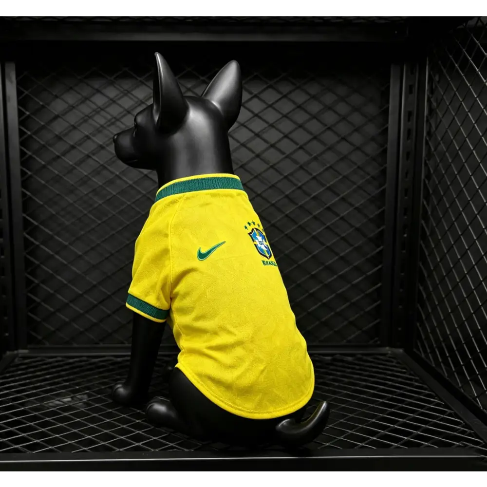 Bresil Coupe Du Monde 2026 Pour Chien