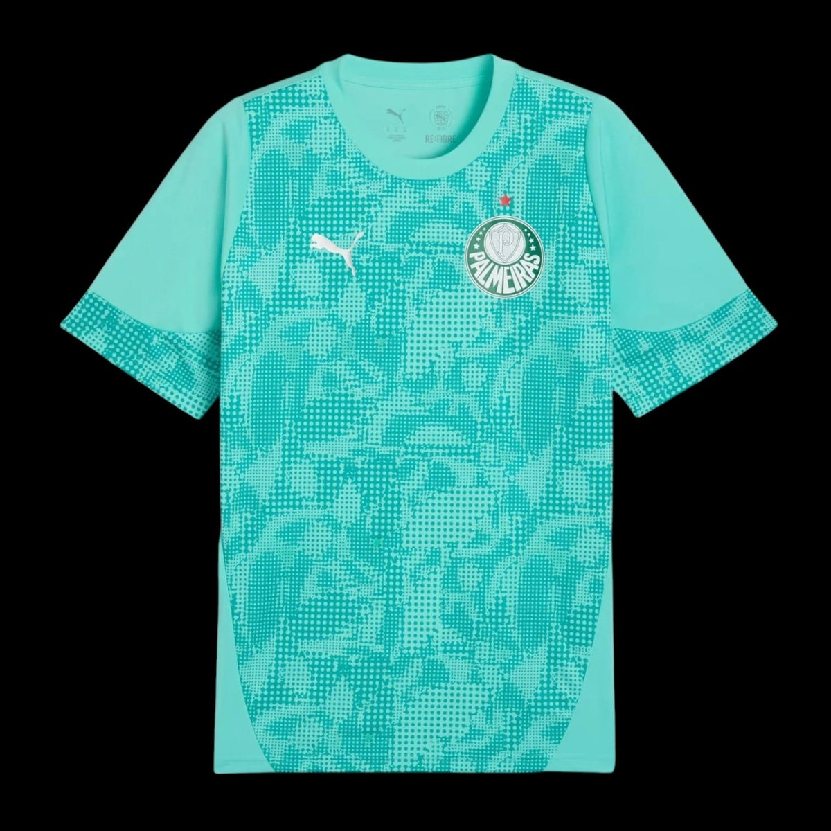 Maillot gardien Palmeiras 26/27 version fan — vue face
